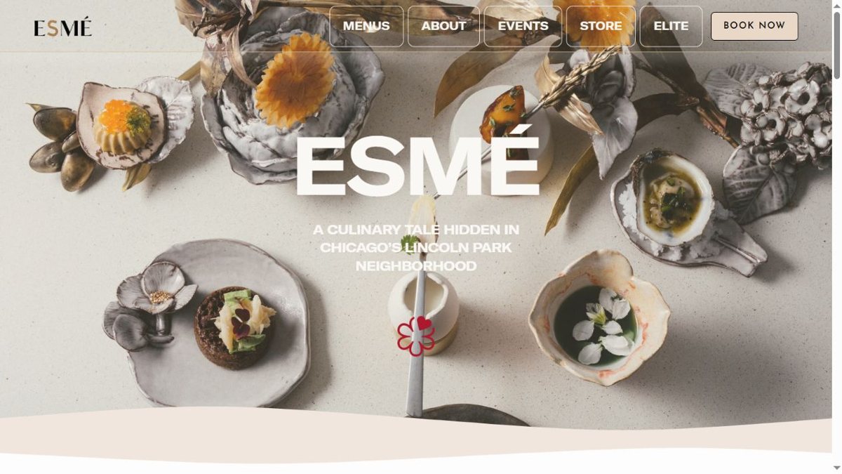 A preview of Esmé’s website, captured October 25, 2026.